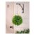 Eucalyptus Topiary Ball