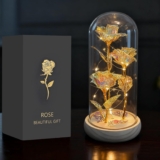 Falafoty Forever Roses in Glass Dome Women, Beauty and The Beast LED Galaxy Roses, Glass Rose Birthday Gift for Her Girlfriend Mom Wife on Valentines Mothers Day Wedding Anniversary