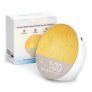 Famgoods Sunrise Alarm Clock with Simulation
