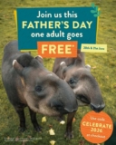 Fathers day Knowsley Safari 20th / 21st June – Adult free entry with purchase of child ticket