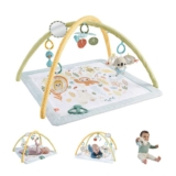 Fisher-Price Simply Senses Newborn Gym Tummy Time Toy
