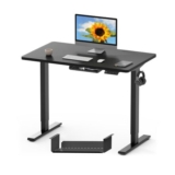 FlexiSpot One-Piece Electric Standing Desk 4-Memory Presets and Backpack Hook