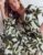 Florence Linen Blend Dress Olive Leopard Flora