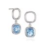 Framed in Light Silver Earrings