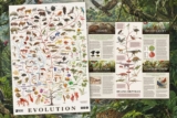 Free BBC Evolution Poster