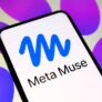 Free Ubuntu Cloud PC with Meta Muse possible 8GB RAM 100GB storage