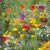 Free Wild Flower Seeds 1g Sachet to Save the Bees – just pay postage