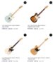 Fret king guitars