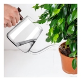 FrutPunch Glass Watering Can 800ml for Indoor Plants