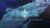 GOG / PC Nexus: The Jupiter Incident – Free to Keep