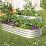 Galvanized Raised Garden Bed Kit, Raised Garden Boxes Outdoor, Oval Metal Raised Beds for Vegetables, Flowers, Herbs, Silver (6x3x1 ft) 2Pcs