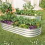 Galvanized Raised Garden Bed Kit, Raised Garden Boxes Outdoor, Oval Metal Raised Beds for Vegetables, Flowers, Herbs, Silver (6x3x1 ft) 2Pcs