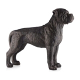 Garden Stories Timeless Rocky the Boxer Sculpture