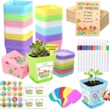 Gifts for Students from Teachers, 36Pack End of Year Class Gifts for 30 Children, Year 6 School Leavers Gift,End of Term Flower Pots with Trays Stickers Envelopes Watercolour Pens (Seed Not Included)