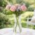 Glass Flower Vases with Brush, Clear Mini Bud Vases in Bulk, Two Styles Small Glass Vases for Rustic Home, Wedding Centerpieces, Dining Table Decor (Style -1)