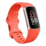 Google Fitbit Charge 6 Activity Tracker with 3 Months Google Health