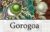 Gorogoa – PS4