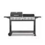 Goucho BBQ and Plancha
