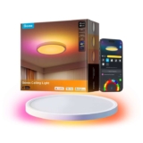 Govee 30cm RGBWW RGBIC Smart Ceiling Light