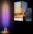 Govee Floor Lamp 3 with code