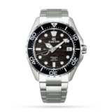 Grand Seiko Evolution 9 Ushio – Tide Spring Drive Watch with code