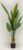 Green Banana Tree