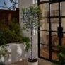 Green Copper 50 LED Outdoor String Lights, Multicoloured White / Warm White – Free C&C