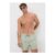 Green Seersucker Stripe Swim Shorts