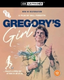 Gregorys Girl (4K UHD) – Sold by Foot Wholesalers
