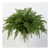 HBell 6Pcs Norfolk Pine Stems, Real Touch Artificial Branches
