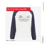 HOLLISTER Grey Raglan Michigan Wolf Graphic Sweatshirt