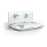 HOME STILL Memory Foam Pillows 2-Pack, 40x70x12 Cm, Aloe Vera