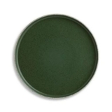 Habitat Matte Raw Edge Dinner Plate – Green