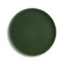 Habitat Matte Raw Edge Dinner Plate – Green