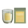 Habitat Scented Boxed Candle – Rhubarb & Elderflower – 120g