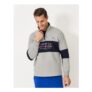 Half Zip Sweatshirt in Grey and Navy