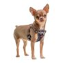 Halti Anatomy Harness for Puppy and Small Dogs XXS Grey