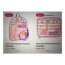Harry Bear Dinosaur Princess Backpack / Lunch Bag