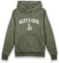 Harry Potter Slytherin Vintage Style Adults Hoodie