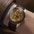 Harry Potter x Timex Waterbury Skeleton Automatic