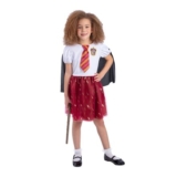 Hermoine Dress up Set.