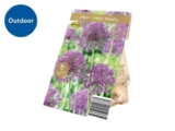High quality flowering bulbsTulip, Allium & Crocus (8-30 per pack)