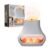 Himalayan Salt Lamp Diffuser