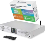 Internet spotify DAB Player – Big Prime Deal – Sold by iZilla / FBA