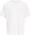 JACK & JONES Mens Joralmeria World Tee SS Crew Neck