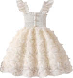 JiAmy Girls 3D Rose Tulle Dress Ruffle Party 2-8 Years