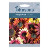 Johnsons Pack of Infrared F1 Sunflower Seeds