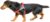 Julius-K9 Color & Gray Belt Harness for Dogs, Size Mini, Red-Gray