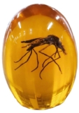 Jurassic Mosquito in Amber Durable Resin Encased Detailed