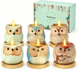 Kinforse Scented Candles Gifts for Women, Owl Gift Set for Ladies Birthday